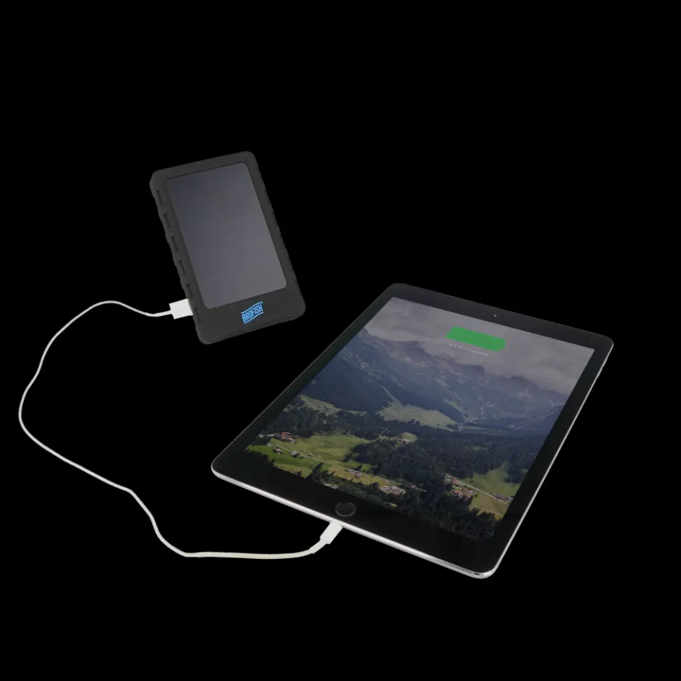Brofish Sunny Powerbank