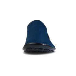 Leguano Scio blauw